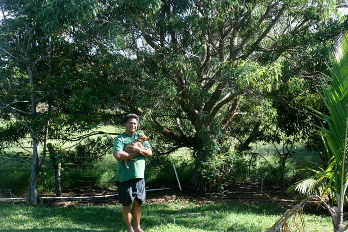 Calisto with his dog by the Koa tree